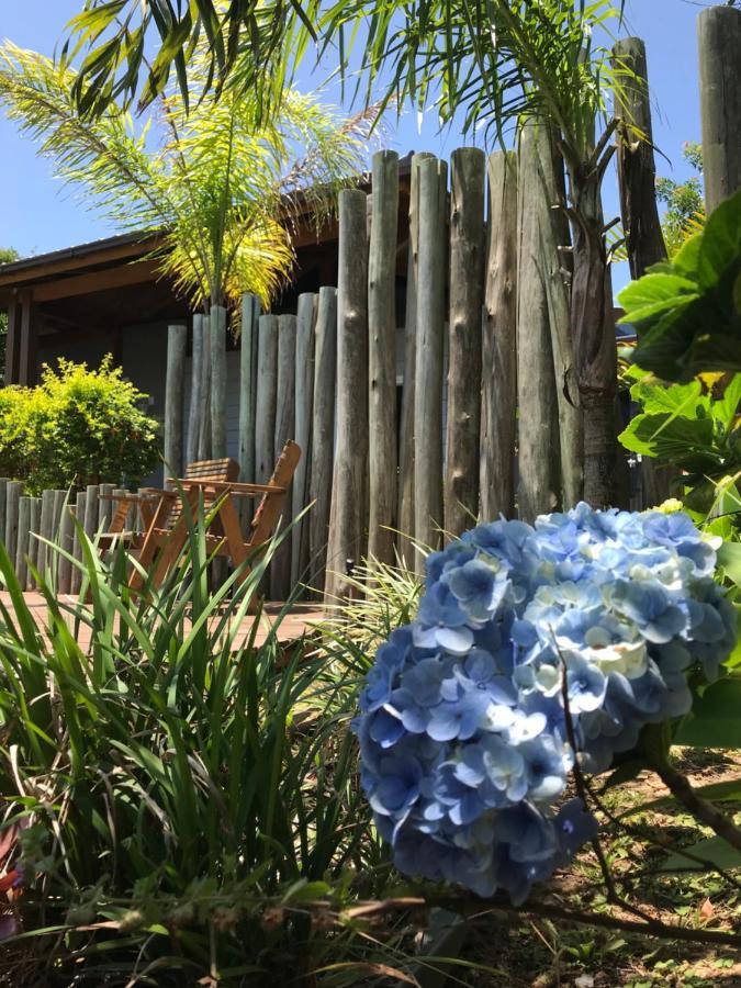 Guest house Waikiki